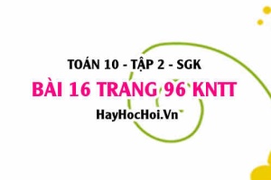 Bài 16 trang 96 Toán 10 tập 2 Kết nối tri thức